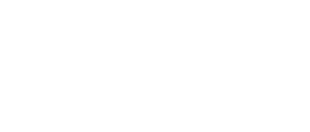 Umami Fresh Burger